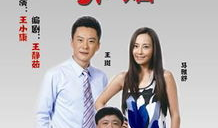 裸婚电视剧,爱情与现实的碰撞